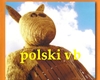 Miś - polski vb