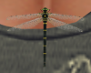 dragonfly M