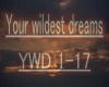 YOUR WILDEST DREAMS