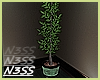 _SANDALS Potted_