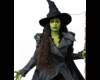 Elphaba jacket 2
