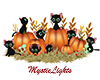 ML♥ Pumpkins n Cats