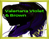 Valeriana Violet & Brown
