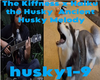 The Kiffness the Husky