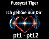 Pussycat Tiger