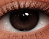 S. Eyes Mousy