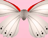 Tiger Moth Wings