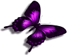 purple butterfly (L)