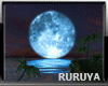 [R] Island Full moon