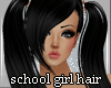 School Girl Pigtails