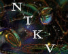 Voice NTKV #02#