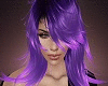 Qasneoi Purple Queen NG