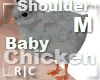 R|C Baby Chick Grey M