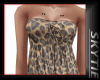  Leopard Dress Top