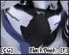 [CG] Black Beak [F]