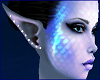Pierced Elf Ears