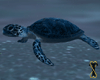![T] Ocean Turtle Ride1