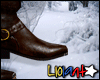 L|. WWitch Boots