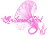 SailorMoonIdol Banner