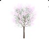 Springtime-Fruit-Tree-v1