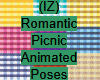 Romantic Picnic Animated