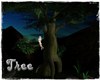 Tree#B2