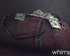 Hoodville Money Bag