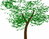 The Tree Avi