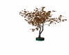 {LS} Fall Tree Planter