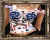 PHV USA T-Shirt Adult