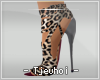 [Tj] Leopard Heels