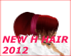NEW H HAIR 2012