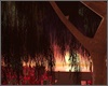 Willow Tree