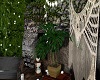 COUPLE ALONE ROOM