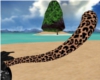Leopard Kitty Tail