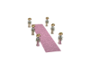 CAMINHO ROSA