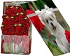 Roses In A Box Red* pupy