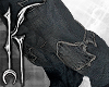 ♱ splicing star