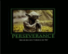 Perseverance