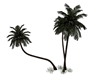palm tree 1