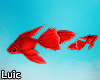 LC. Animated Red Fish.