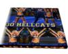 (PL)Hellcats Gym Mat