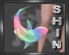 R. Leg Rainbow Shark F