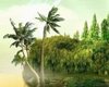 dj nature island