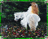 prinsess on white horse