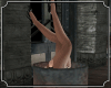 Funny Barrel