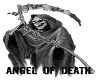 [DS]Angel of Death