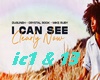 l can  see ic1 & 13