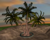Paradise Palm Tree Group