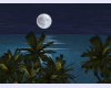 Moonlight island